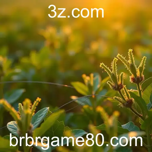 A Ascensão do brgame80: A Nova Era dos Jogos em Português